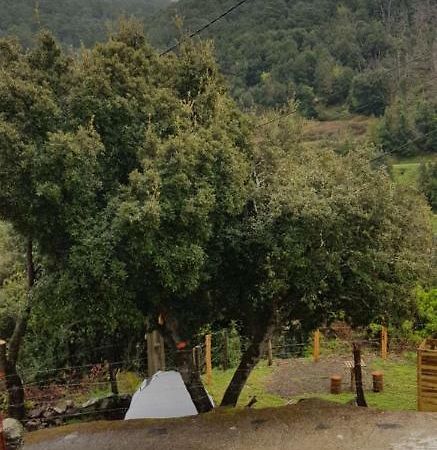 Camping L'Agrottu Au Coeur De La Corse Santa-Lucia-di-Mercurio Екстер'єр фото