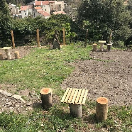 Camping L'Agrottu Au Coeur De La Corse Santa-Lucia-di-Mercurio Екстер'єр фото