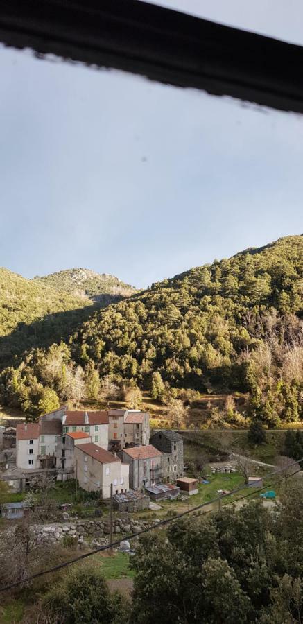 Camping L'Agrottu Au Coeur De La Corse Santa-Lucia-di-Mercurio Екстер'єр фото