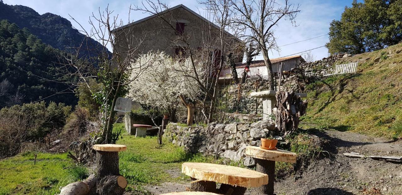 Camping L'Agrottu Au Coeur De La Corse Santa-Lucia-di-Mercurio Екстер'єр фото