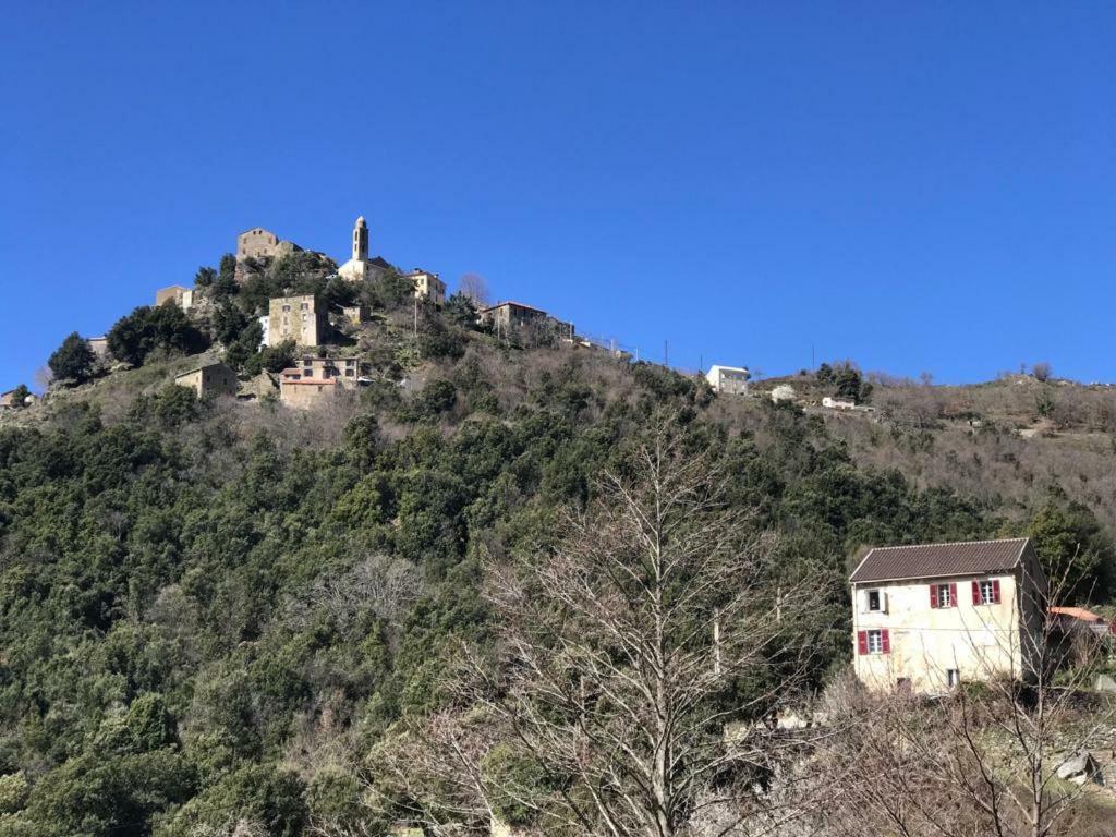 Camping L'Agrottu Au Coeur De La Corse Santa-Lucia-di-Mercurio Екстер'єр фото