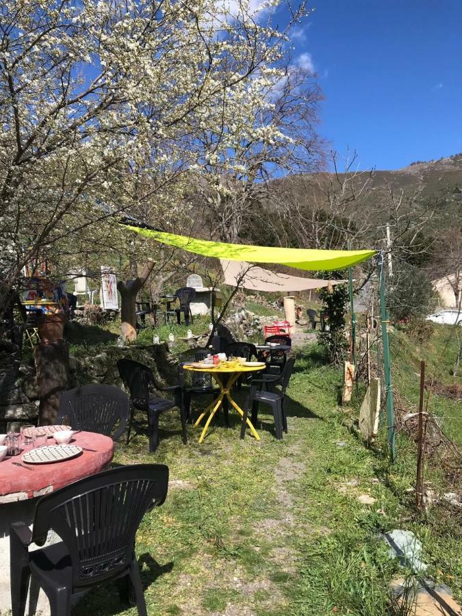 Camping L'Agrottu Au Coeur De La Corse Santa-Lucia-di-Mercurio Екстер'єр фото