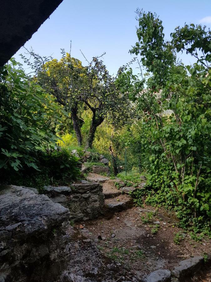 Camping L'Agrottu Au Coeur De La Corse Santa-Lucia-di-Mercurio Екстер'єр фото