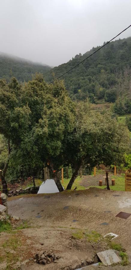 Camping L'Agrottu Au Coeur De La Corse Santa-Lucia-di-Mercurio Екстер'єр фото