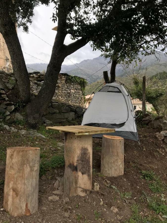 Camping L'Agrottu Au Coeur De La Corse Santa-Lucia-di-Mercurio Екстер'єр фото