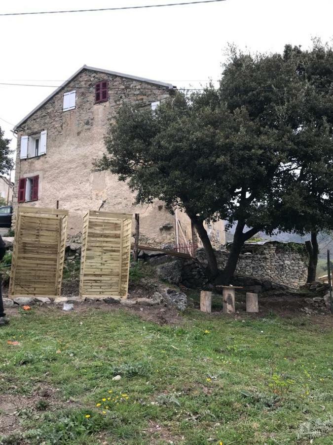 Camping L'Agrottu Au Coeur De La Corse Santa-Lucia-di-Mercurio Екстер'єр фото