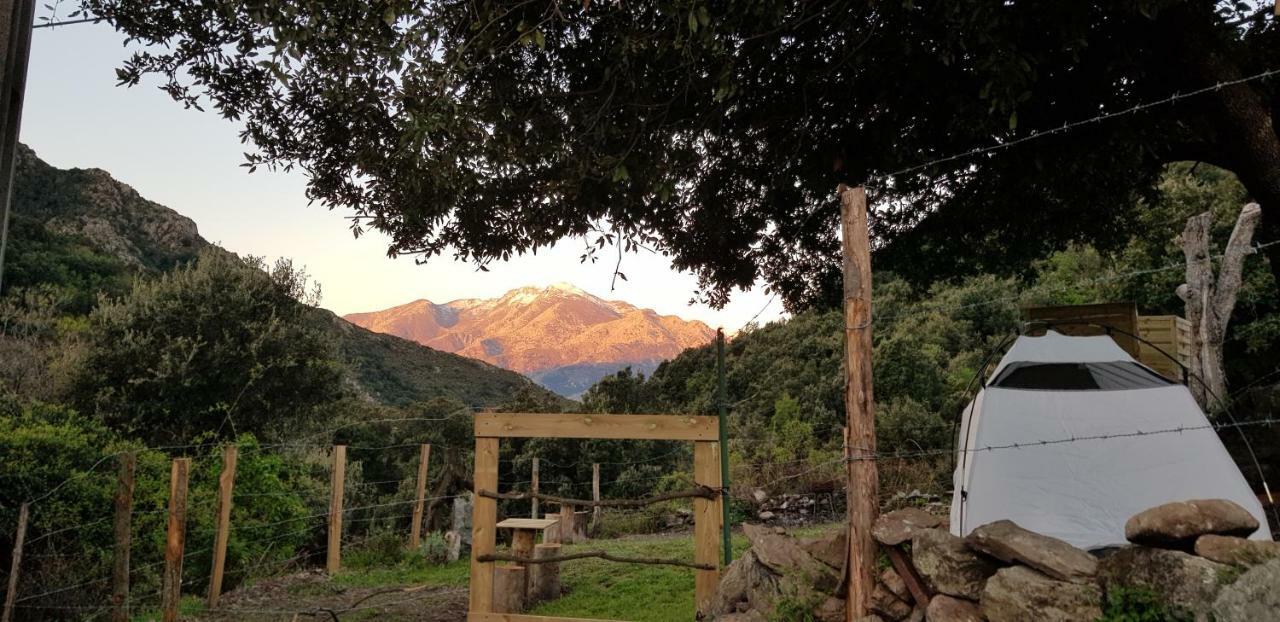 Camping L'Agrottu Au Coeur De La Corse Santa-Lucia-di-Mercurio Екстер'єр фото