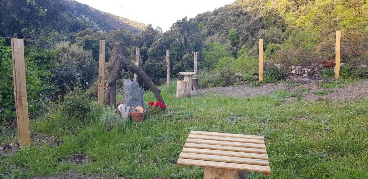 Camping L'Agrottu Au Coeur De La Corse Santa-Lucia-di-Mercurio Екстер'єр фото