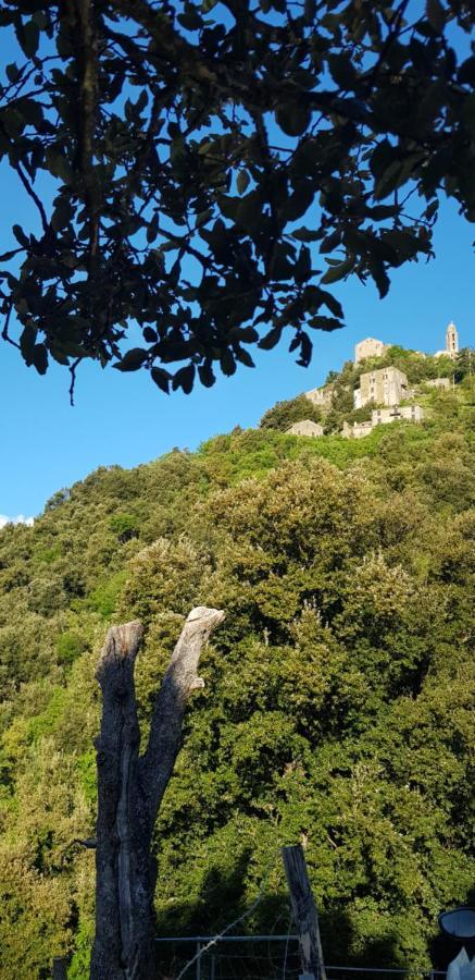 Camping L'Agrottu Au Coeur De La Corse Santa-Lucia-di-Mercurio Екстер'єр фото